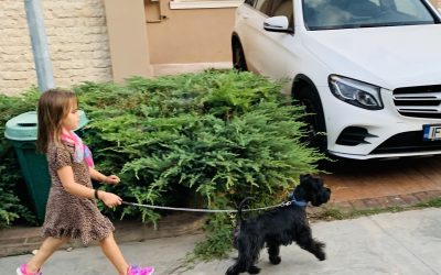 Poate funcționa relația dintre un bebeluș și un câine?